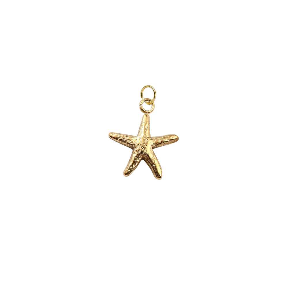 Gold Hammered Starfish Shell Charm | Waterproof Stainless Steel