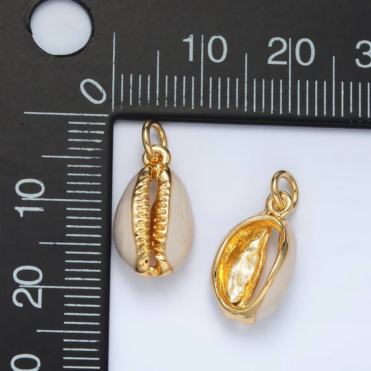 24K Gold Filled White Shell Clam Charm